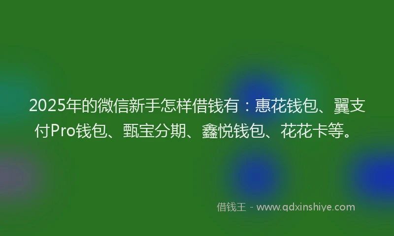 2025年的微信新手怎样借钱有：惠花钱包、翼支付Pro钱包、甄宝分期、鑫悦钱包、花花卡等。