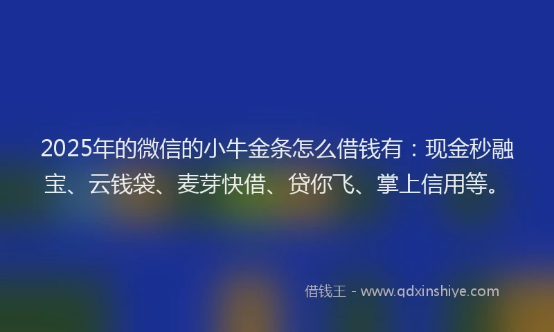 2025年的微信的小牛金条怎么借钱有：现金秒融宝、云钱袋、麦芽快借、贷你飞、掌上信用等。