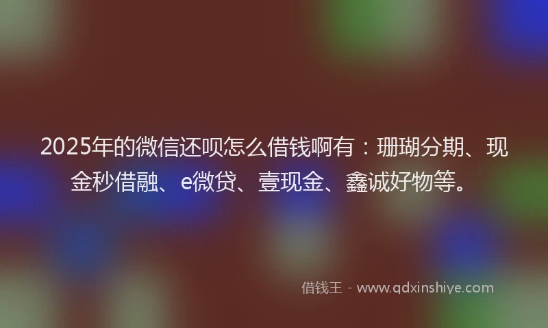 2025年的微信还呗怎么借钱啊有：珊瑚分期、现金秒借融、e微贷、壹现金、鑫诚好物等。