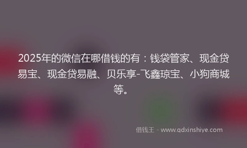 2025年的微信在哪借钱的有：钱袋管家、现金贷易宝、现金贷易融、贝乐享-飞鑫琼宝、小狗商城等。
