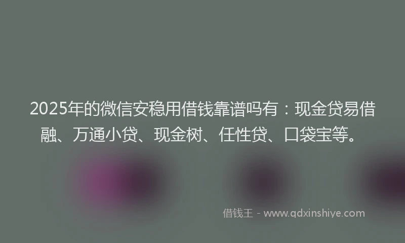 2025年的微信安稳用借钱靠谱吗有：现金贷易借融、万通小贷、现金树、任性贷、口袋宝等。