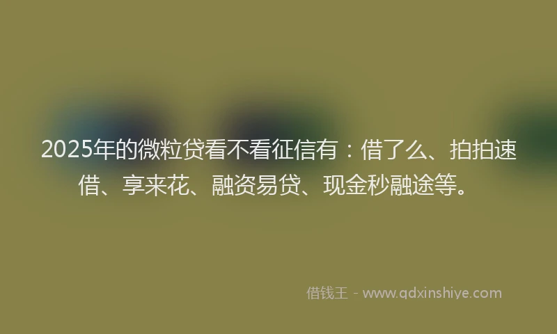 2025年的微粒贷看不看征信有：借了么、拍拍速借、享来花、融资易贷、现金秒融途等。