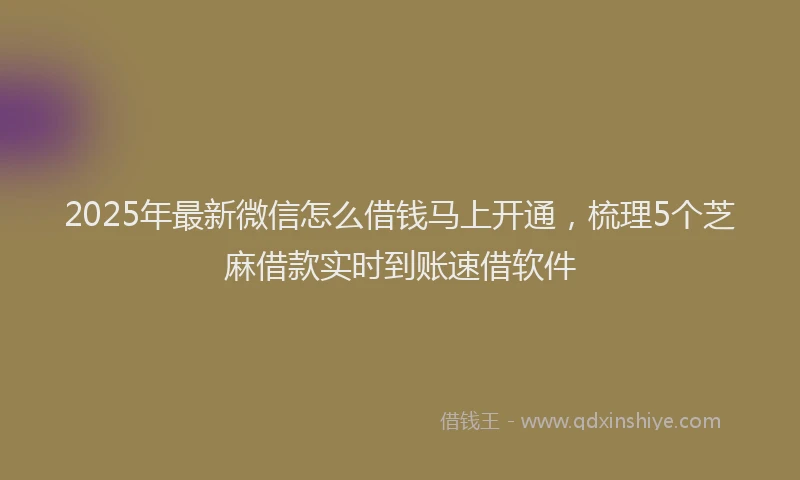 2025年最新微信怎么借钱马上开通，梳理5个芝麻借款实时到账速借软件