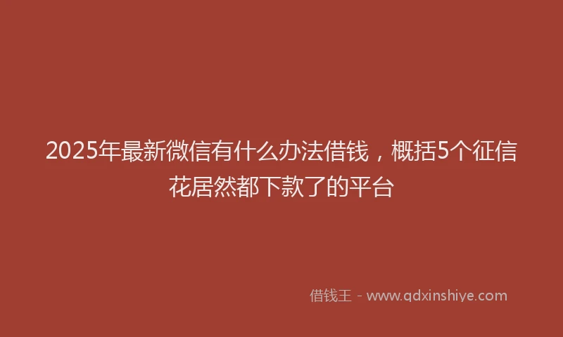 2025年最新微信有什么办法借钱，概括5个征信花居然都下款了的平台
