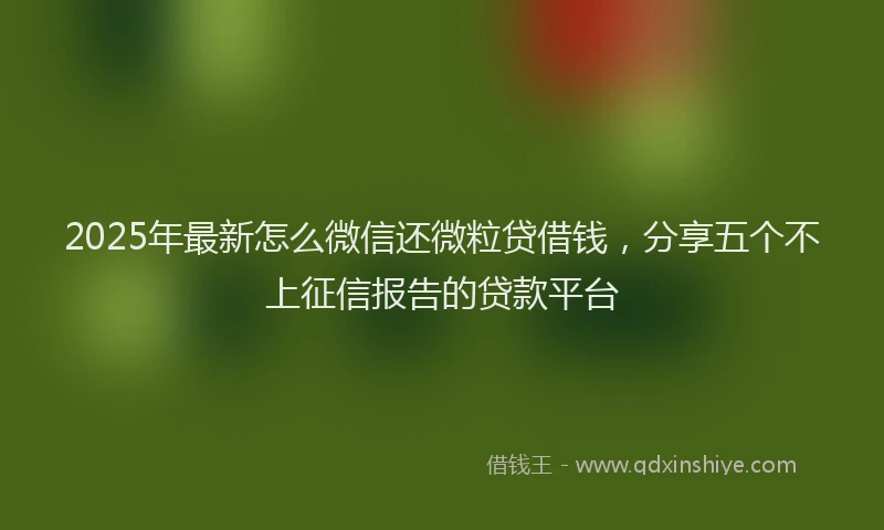 2025年最新怎么微信还微粒贷借钱，分享五个不上征信报告的贷款平台