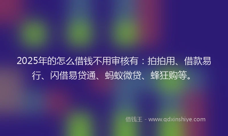 2025年的怎么借钱不用审核有：拍拍用、借款易行、闪借易贷通、蚂蚁微贷、蜂狂购等。