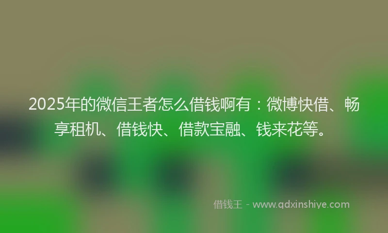 2025年的微信王者怎么借钱啊有：微博快借、畅享租机、借钱快、借款宝融、钱来花等。