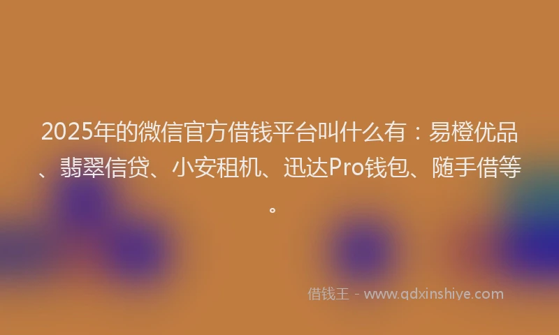 2025年的微信官方借钱平台叫什么有：易橙优品、翡翠信贷、小安租机、迅达Pro钱包、随手借等。