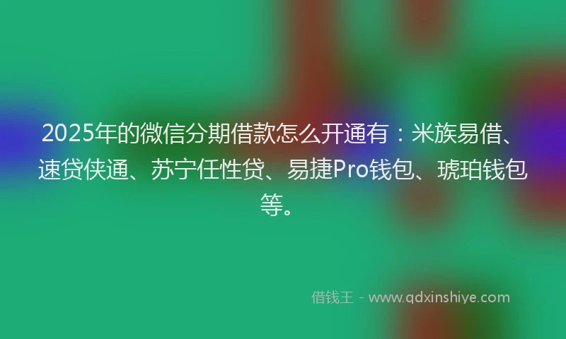 2025年的微信分期借款怎么开通有：米族易借、速贷侠通、苏宁任性贷、易捷Pro钱包、琥珀钱包等。