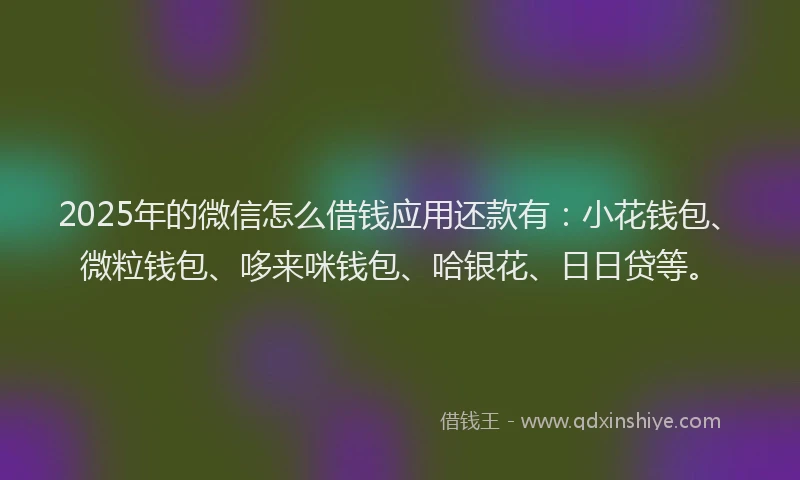2025年的微信怎么借钱应用还款有：小花钱包、微粒钱包、哆来咪钱包、哈银花、日日贷等。