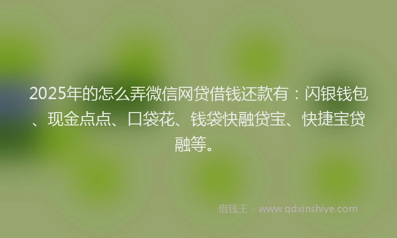 2025年的怎么弄微信网贷借钱还款有：闪银钱包、现金点点、口袋花、钱袋快融贷宝、快捷宝贷融等。
