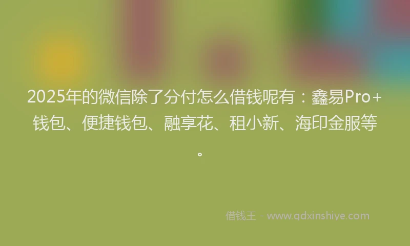 2025年的微信除了分付怎么借钱呢有：鑫易Pro+钱包、便捷钱包、融享花、租小新、海印金服等。