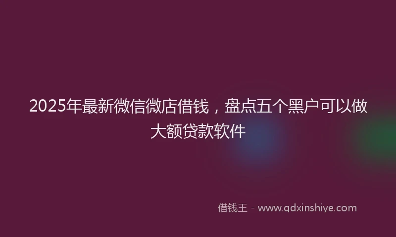 2025年最新微信微店借钱，盘点五个黑户可以做大额贷款软件