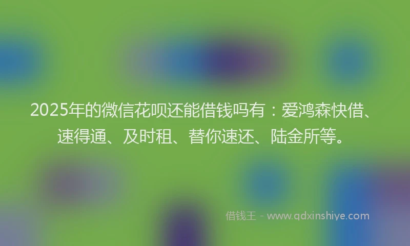 2025年的微信花呗还能借钱吗有：爱鸿森快借、速得通、及时租、替你速还、陆金所等。