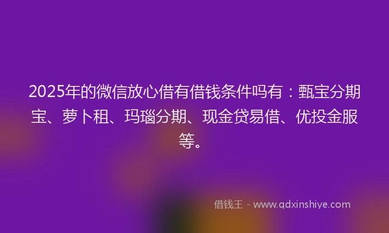 2025年的微信放心借有借钱条件吗有：甄宝分期宝、萝卜租、玛瑙分期、现金贷易借、优投金服等。