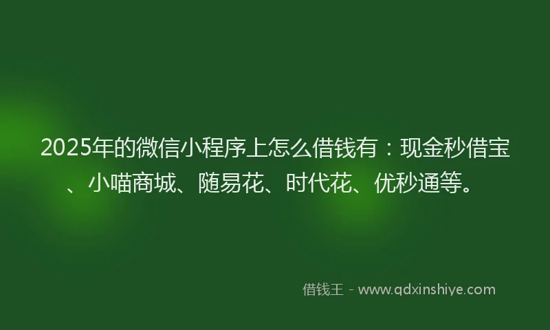 2025年的微信小程序上怎么借钱有：现金秒借宝、小喵商城、随易花、时代花、优秒通等。