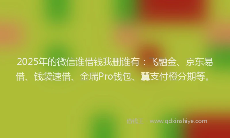 2025年的微信谁借钱我删谁有：飞融金、京东易借、钱袋速借、金瑞Pro钱包、翼支付橙分期等。