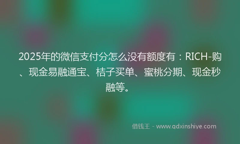 2025年的微信支付分怎么没有额度有：RICH-购、现金易融通宝、桔子买单、蜜桃分期、现金秒融等。