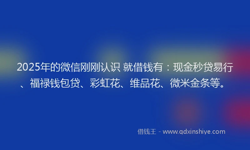 2025年的微信刚刚认识 就借钱有：现金秒贷易行、福禄钱包贷、彩虹花、维品花、微米金条等。