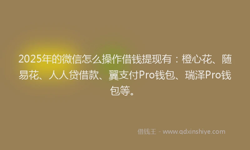 2025年的微信怎么操作借钱提现有：橙心花、随易花、人人贷借款、翼支付Pro钱包、瑞泽Pro钱包等。