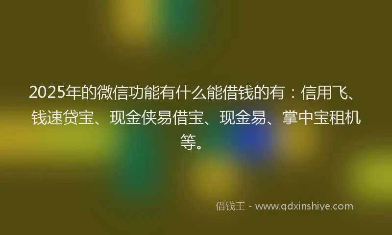 2025年的微信功能有什么能借钱的有：信用飞、钱速贷宝、现金侠易借宝、现金易、掌中宝租机等。
