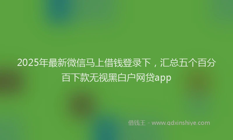 2025年最新微信马上借钱登录下，汇总五个百分百下款无视黑白户网贷app