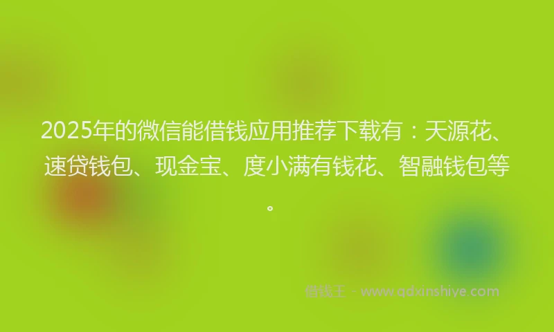 2025年的微信能借钱应用推荐下载有：天源花、速贷钱包、现金宝、度小满有钱花、智融钱包等。