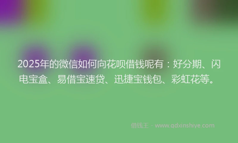 2025年的微信如何向花呗借钱呢有：好分期、闪电宝盒、易借宝速贷、迅捷宝钱包、彩虹花等。
