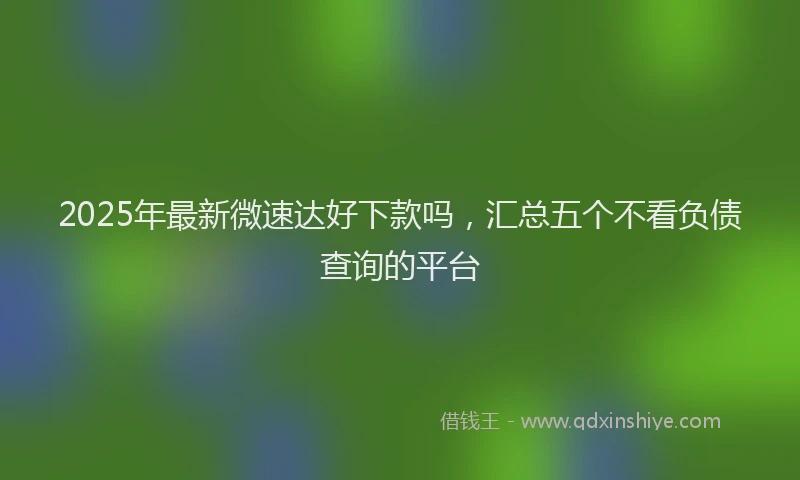 2025年最新微速达好下款吗，汇总五个不看负债查询的平台