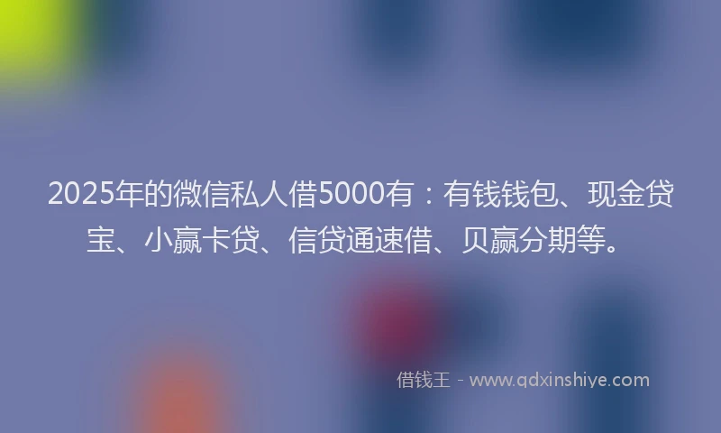 2025年的微信私人借5000有：有钱钱包、现金贷宝、小赢卡贷、信贷通速借、贝赢分期等。