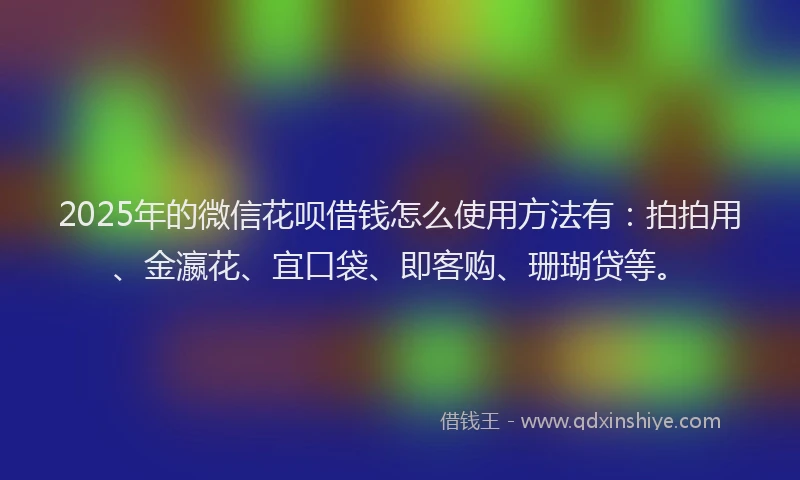 2025年的微信花呗借钱怎么使用方法有：拍拍用、金瀛花、宜口袋、即客购、珊瑚贷等。