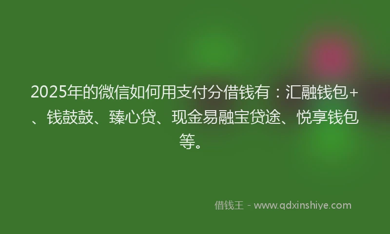2025年的微信如何用支付分借钱有：汇融钱包+、钱鼓鼓、臻心贷、现金易融宝贷途、悦享钱包等。