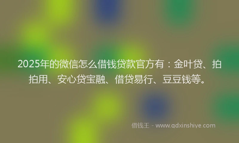 2025年的微信怎么借钱贷款官方有：金叶贷、拍拍用、安心贷宝融、借贷易行、豆豆钱等。
