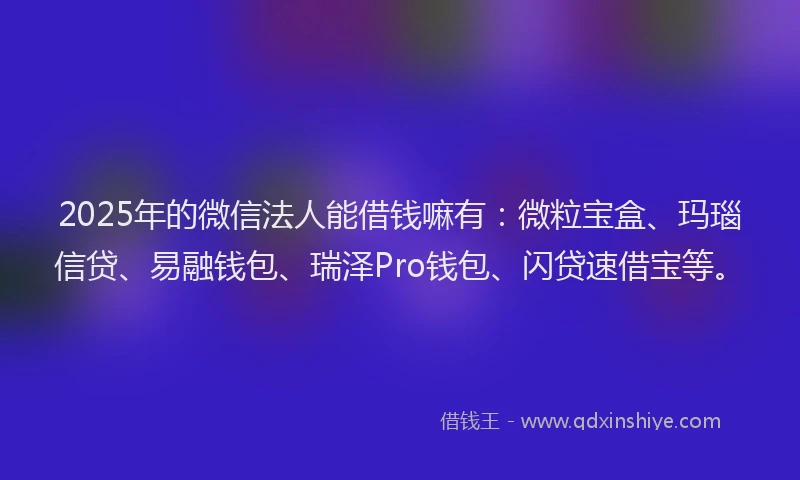 2025年的微信法人能借钱嘛有：微粒宝盒、玛瑙信贷、易融钱包、瑞泽Pro钱包、闪贷速借宝等。