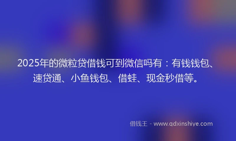 2025年的微粒贷借钱可到微信吗有：有钱钱包、速贷通、小鱼钱包、借蛙、现金秒借等。