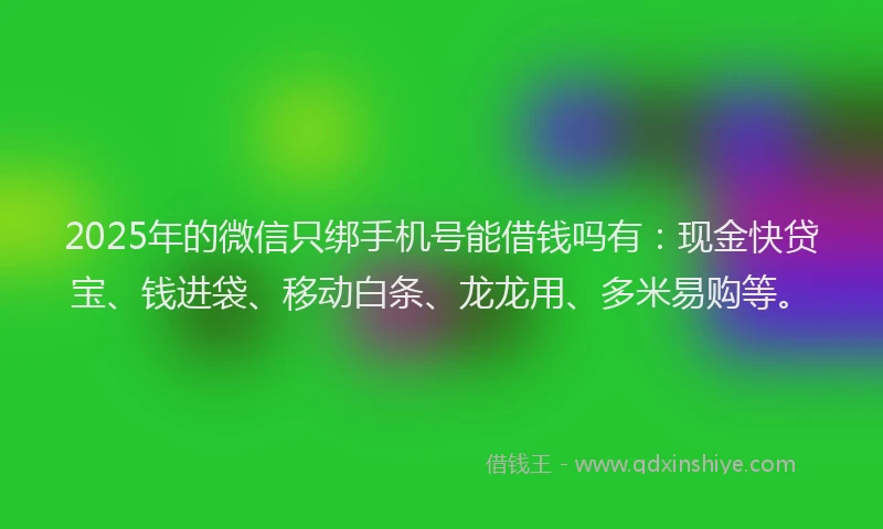 2025年的微信只绑手机号能借钱吗有：现金快贷宝、钱进袋、移动白条、龙龙用、多米易购等。