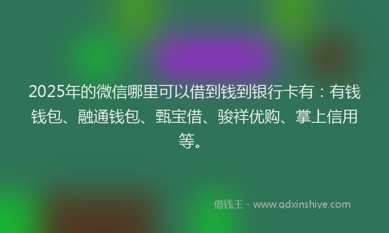 2025年的微信哪里可以借到钱到银行卡有：有钱钱包、融通钱包、甄宝借、骏祥优购、掌上信用等。