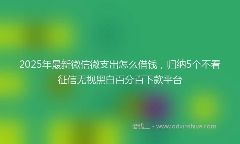 2025年最新微信微支出怎么借钱，归纳5个不看征信无视黑白百分百下款平台