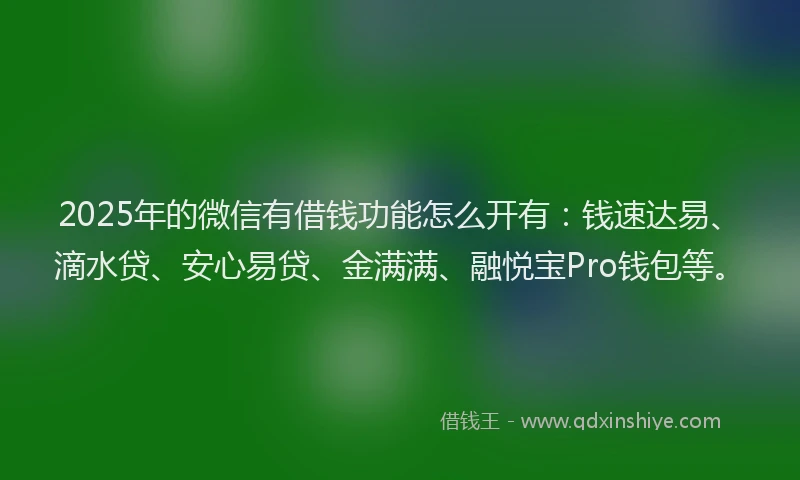 2025年的微信有借钱功能怎么开有：钱速达易、滴水贷、安心易贷、金满满、融悦宝Pro钱包等。