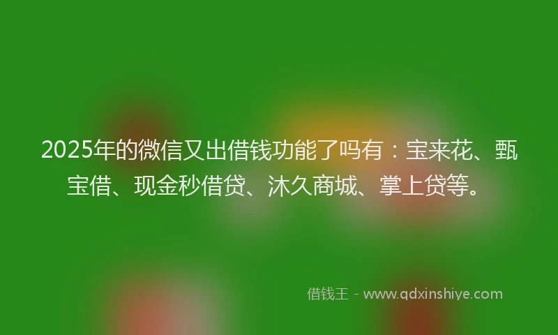 2025年的微信又出借钱功能了吗有：宝来花、甄宝借、现金秒借贷、沐久商城、掌上贷等。