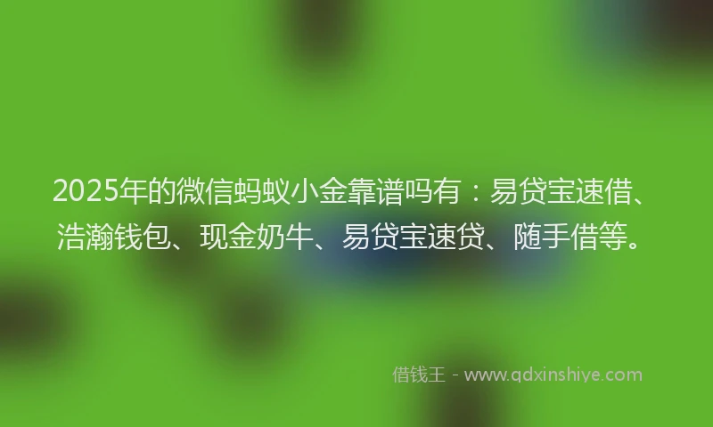 2025年的微信蚂蚁小金靠谱吗有：易贷宝速借、浩瀚钱包、现金奶牛、易贷宝速贷、随手借等。