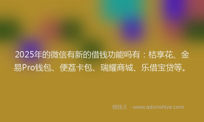 2025年的微信有新的借钱功能吗有：桔享花、金易Pro钱包、便荔卡包、瑞耀商城、乐借宝贷等。