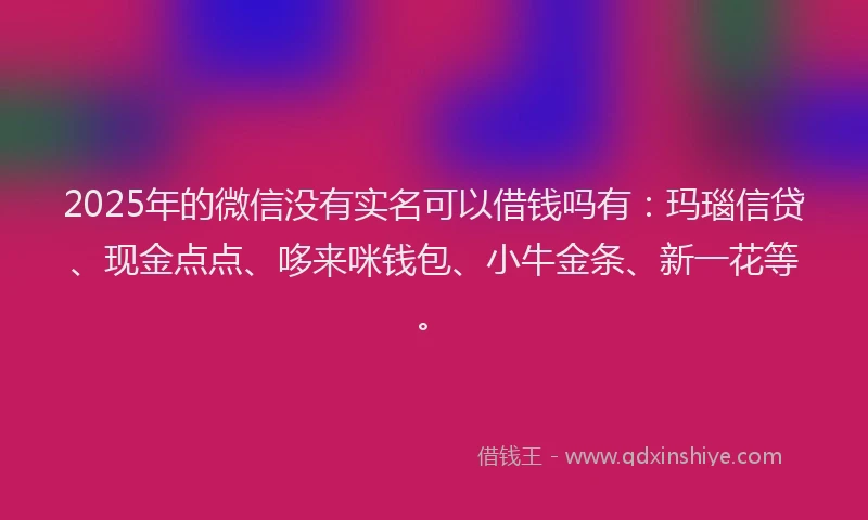 2025年的微信没有实名可以借钱吗有：玛瑙信贷、现金点点、哆来咪钱包、小牛金条、新一花等。