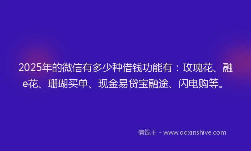 2025年的微信有多少种借钱功能有：玫瑰花、融e花、珊瑚买单、现金易贷宝融途、闪电购等。