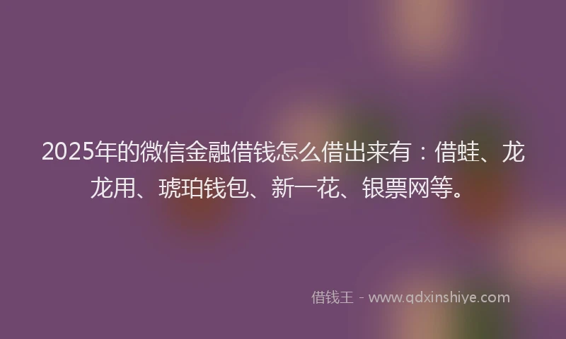 2025年的微信金融借钱怎么借出来有：借蛙、龙龙用、琥珀钱包、新一花、银票网等。