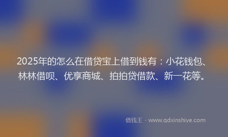 2025年的怎么在借贷宝上借到钱有：小花钱包、林林借呗、优享商城、拍拍贷借款、新一花等。