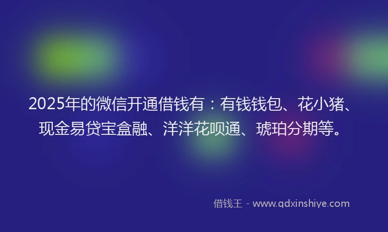 2025年的微信开通借钱有：有钱钱包、花小猪、现金易贷宝盒融、洋洋花呗通、琥珀分期等。