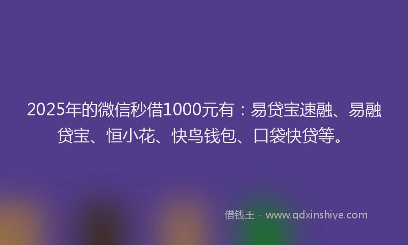 2025年的微信秒借1000元有：易贷宝速融、易融贷宝、恒小花、快鸟钱包、口袋快贷等。