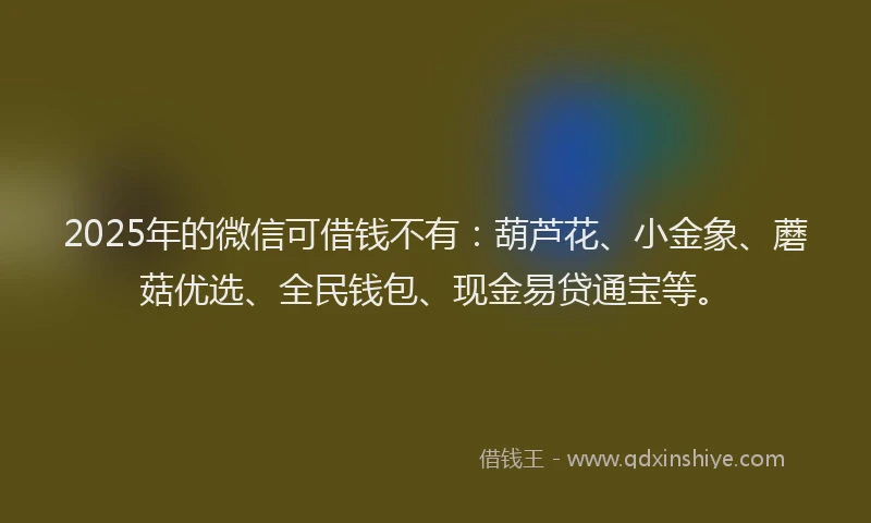 2025年的微信可借钱不有：葫芦花、小金象、蘑菇优选、全民钱包、现金易贷通宝等。