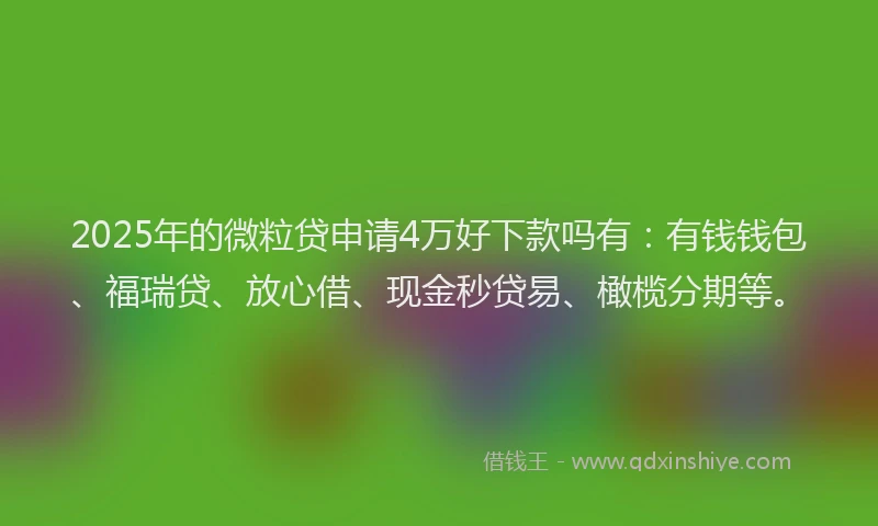 2025年的微粒贷申请4万好下款吗有：有钱钱包、福瑞贷、放心借、现金秒贷易、橄榄分期等。